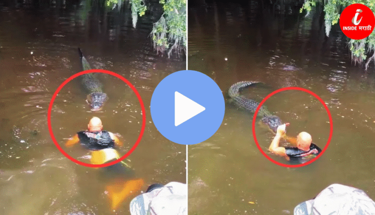 Man throwing crocodile video
